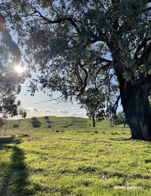 Additional image 21 of 109 Gall Lane, Balmattum VIC 3666