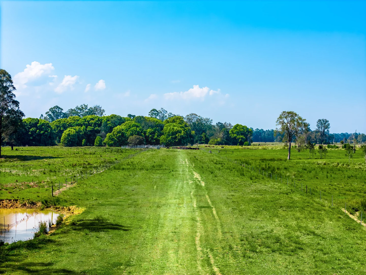 Additional image 21 of 160 Busbys Flat Road, Leeville NSW 2470