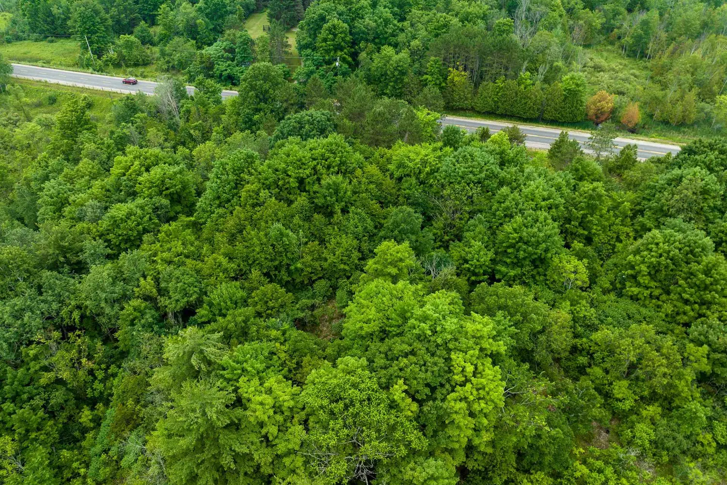 Additional image 15 of Pt Lt 4-5 Perth Road