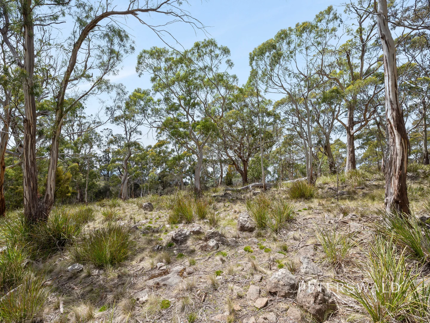 Additional image 12 of 626 Nelson Road, Mount Nelson TAS 7007