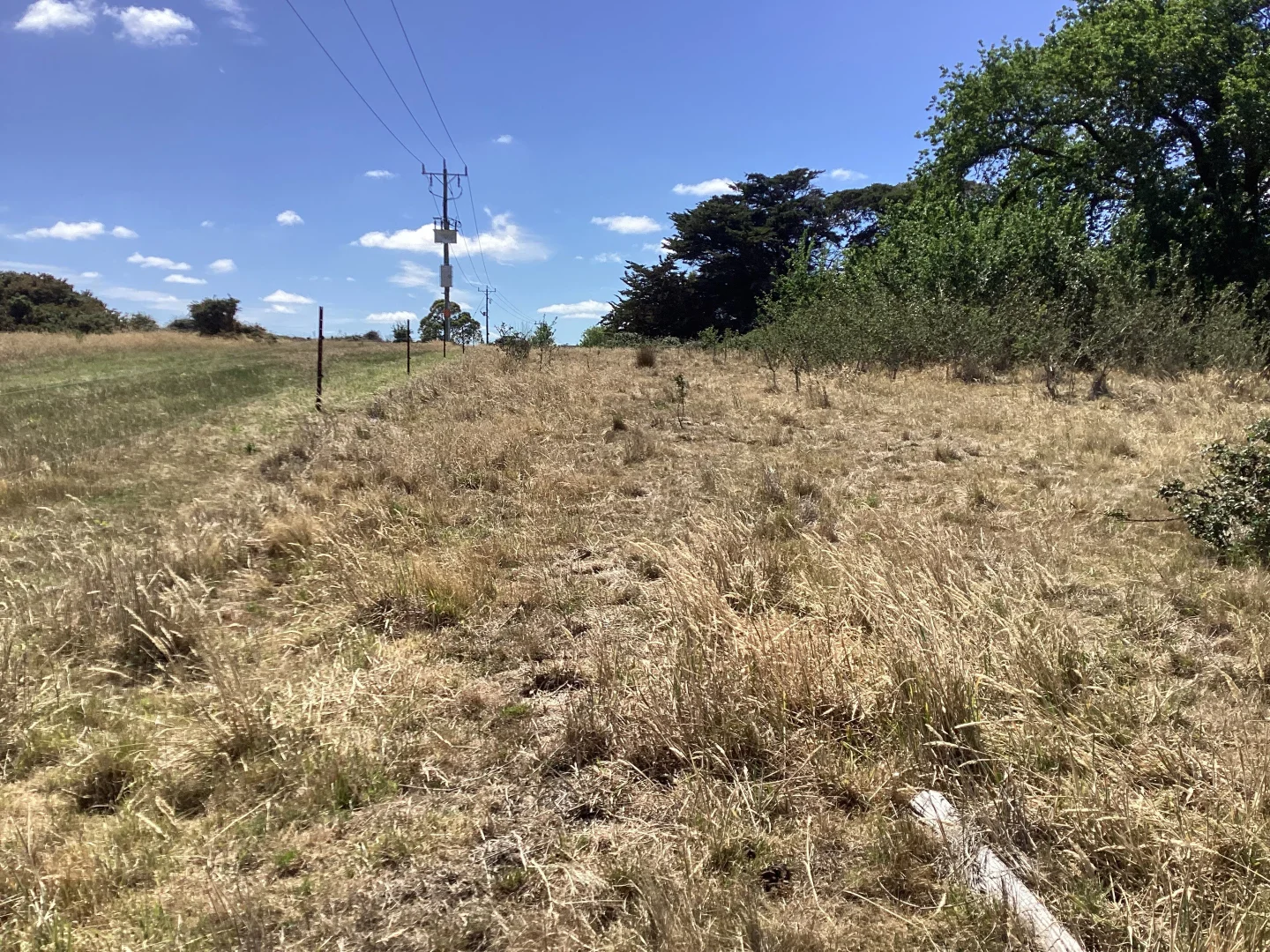 Additional image 8 of 10 & 10a Daniels Road, Scarsdale VIC 3351