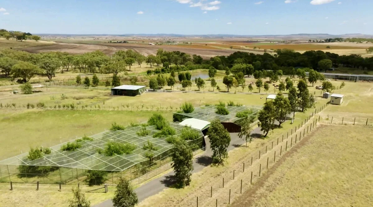 Additional image 40 of 21 Baines Road, Pilton QLD 4361