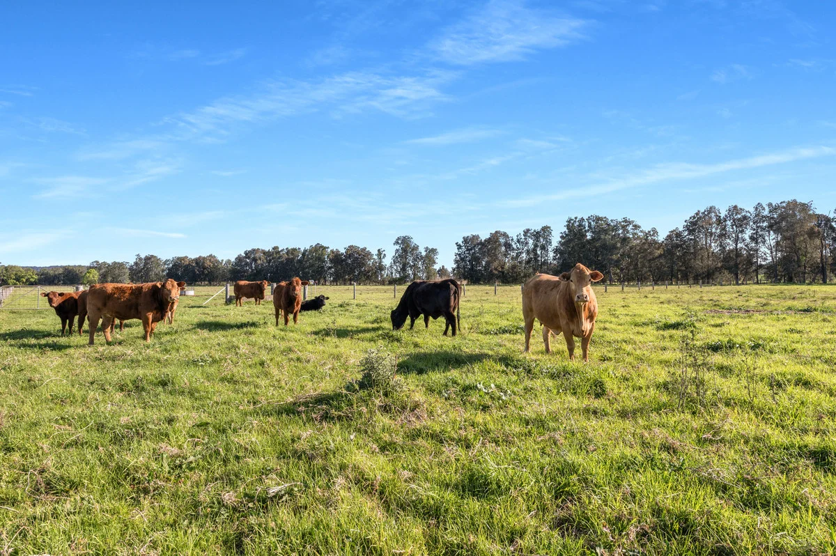 Additional image 7 of 591 Coolangatta Road, Berry NSW 2535