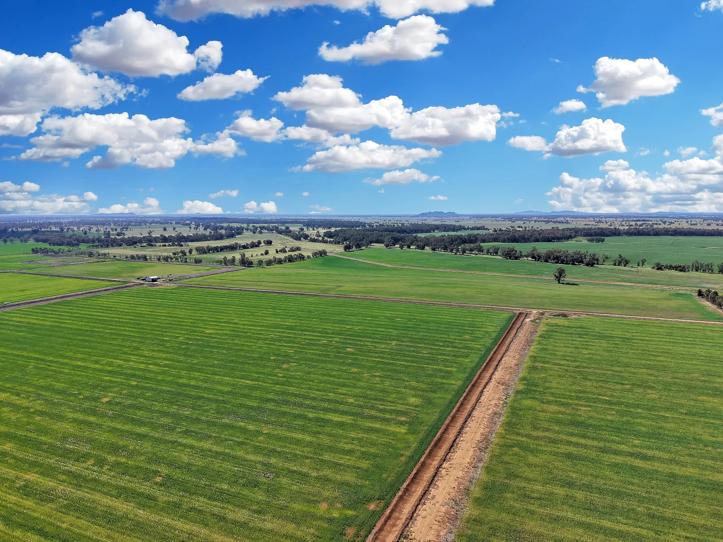 Additional image 2 of 4005 Lachlan Valley Way, Forbes NSW 2871