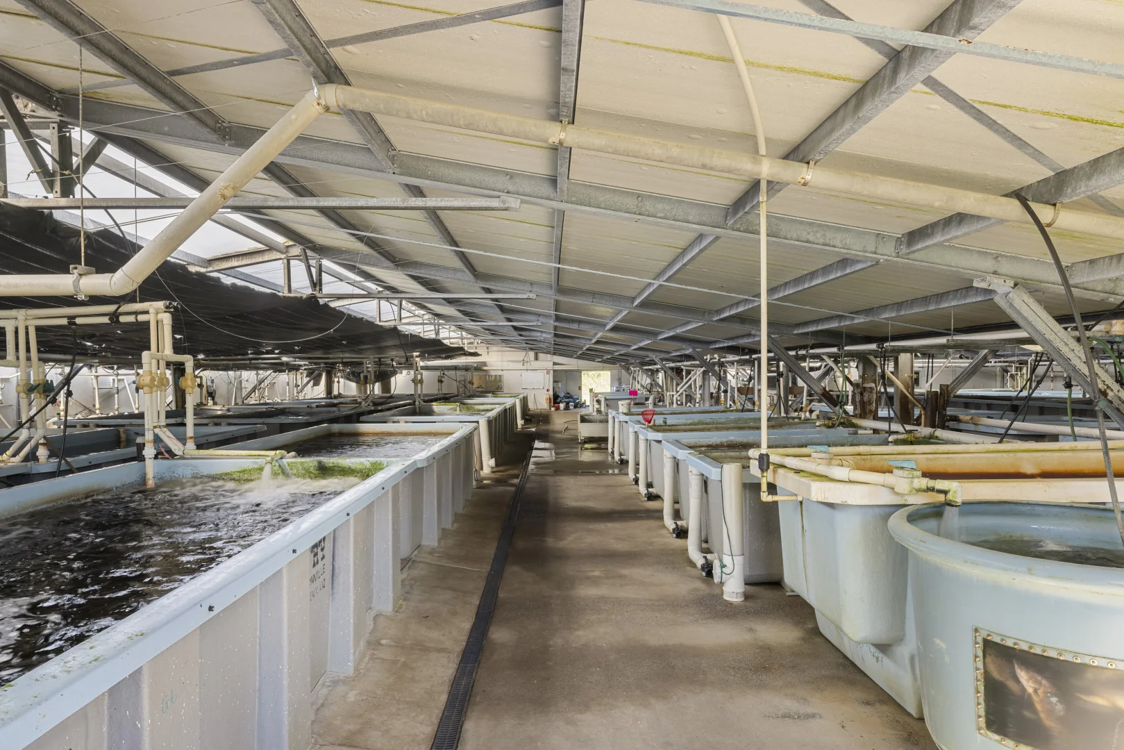 Additional image 20 of 476C Marsh Road, Bobs Farm NSW 2316