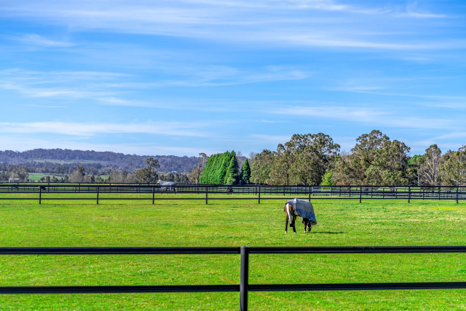 Additional image 24 of 366 Headlam Road, Moss Vale NSW 2577