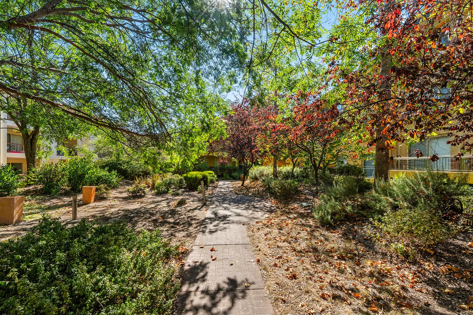 Additional image 17 of 43/25 Fawkner Street, Braddon ACT 2612