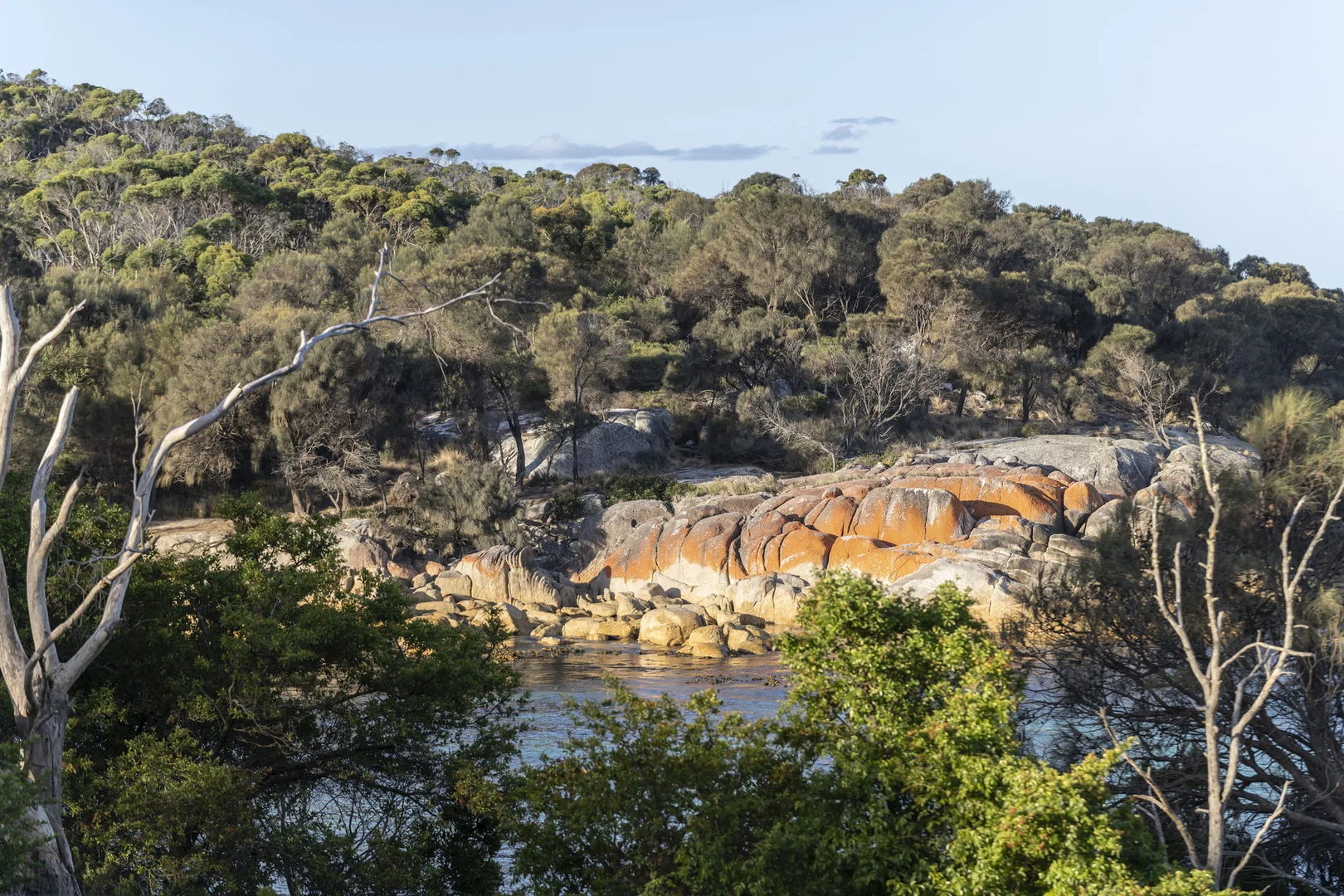 Additional image 31 of 18 Seaton Cove Road, Binalong Bay TAS 7216