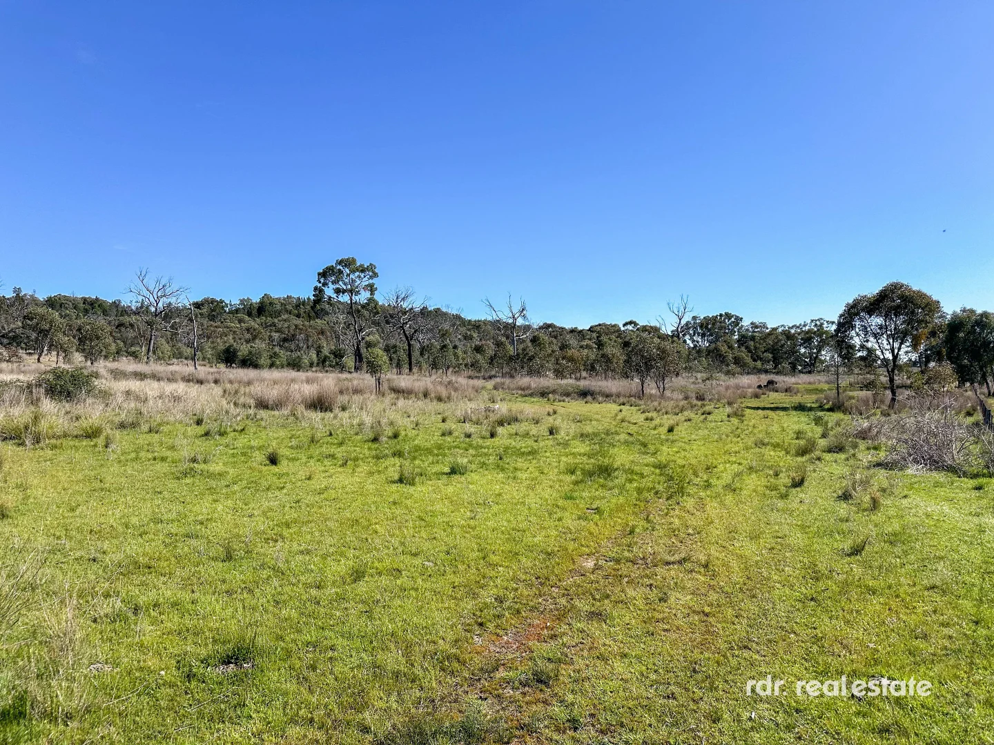 Additional image 28 of 1305 Bingara Road, Bundarra NSW 2359