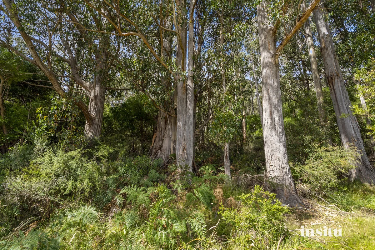 Additional image 11 of 76 Sepia Road, Mountain River TAS 7109