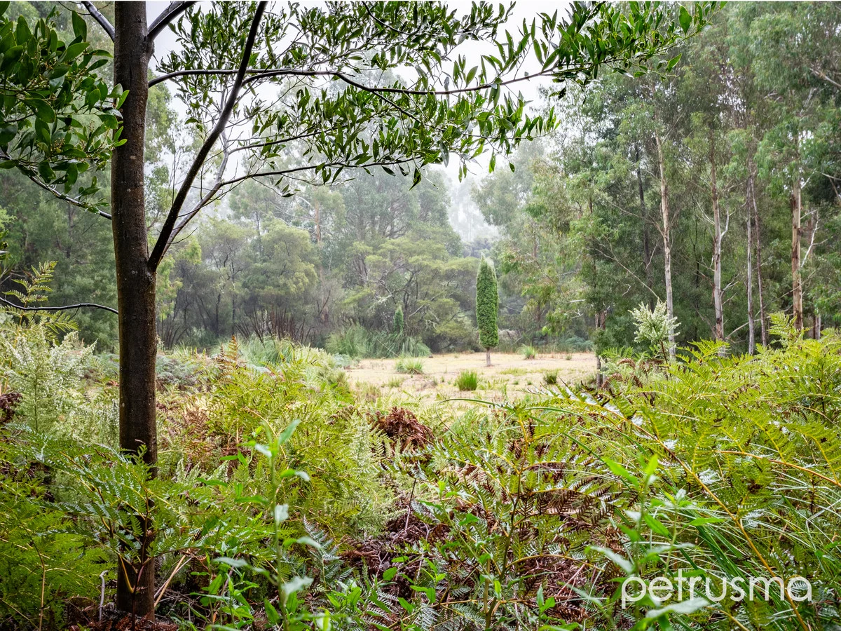 Additional image 7 of 370 Cloudy Bay Road, South Bruny TAS 7150