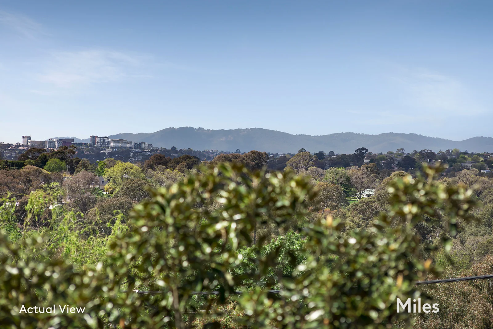 Additional image 3 of 4 Scotts Parade, Ivanhoe VIC 3079