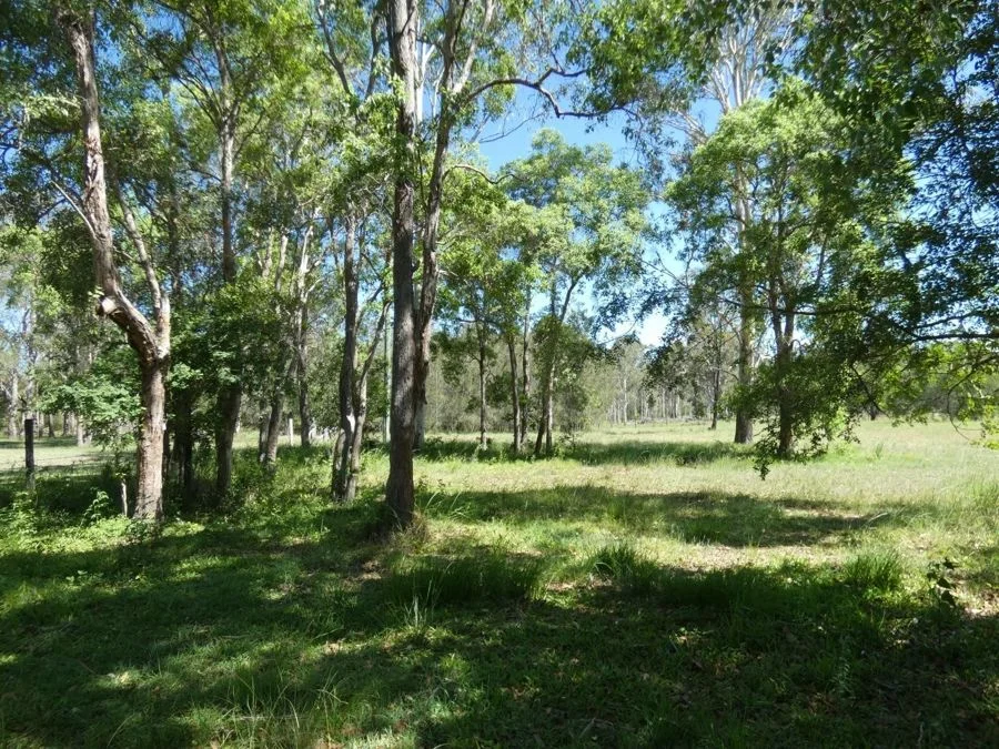 Additional image 35 of 158 Taunton Road, Euleilah QLD 4674