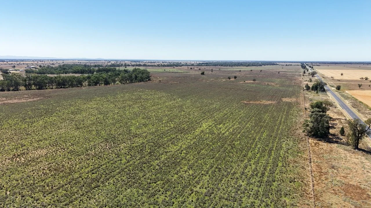 Additional image 23 of 128 Berida-Bullagreen Road, Collie NSW 2827