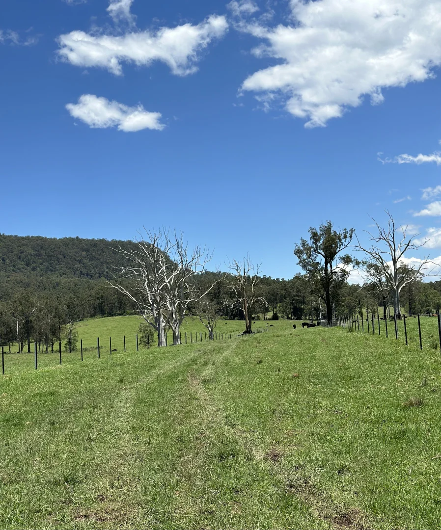 Additional image 26 of 119 Duck Creek Road, Old Bonalbo NSW 2469