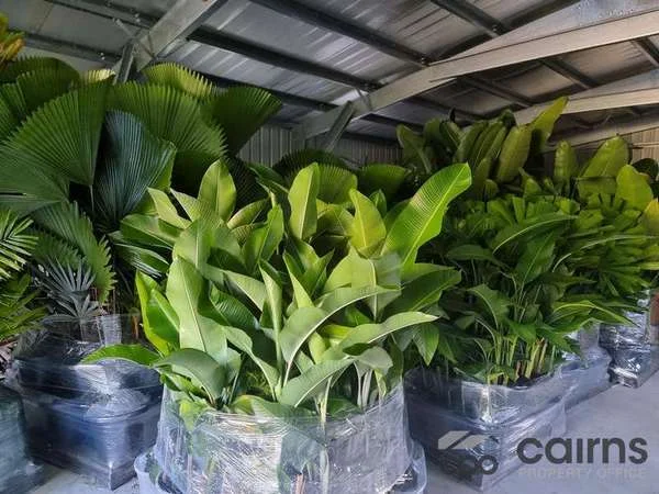 Additional image 10 of 15 Ross Road, Deeral QLD 4871