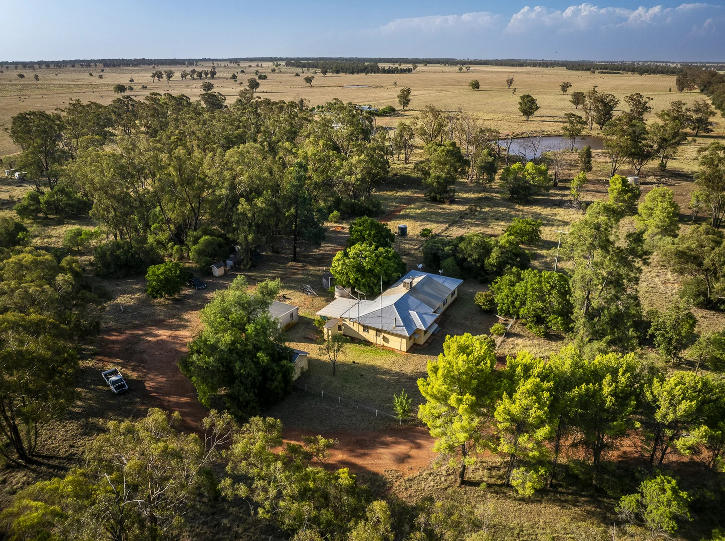 Additional image 10 of Mentone 1521 Bruie Plains Road, Trundle NSW 2875