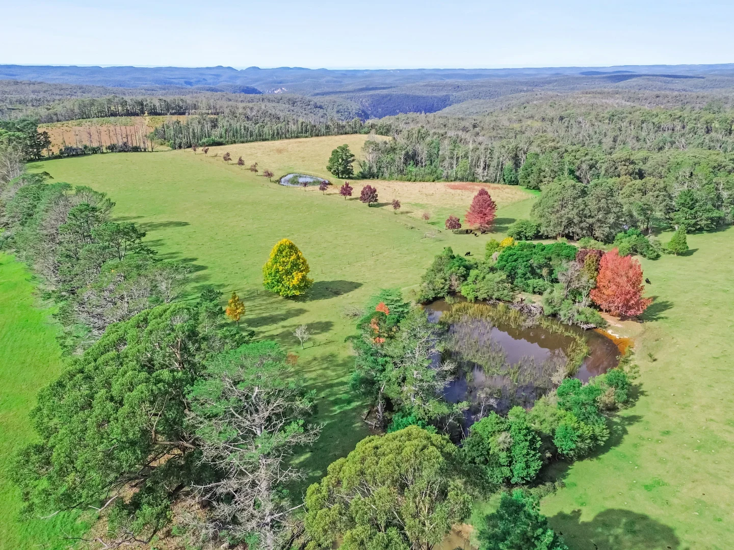 Additional image 15 of 92 Powells Road, Bilpin NSW 2758