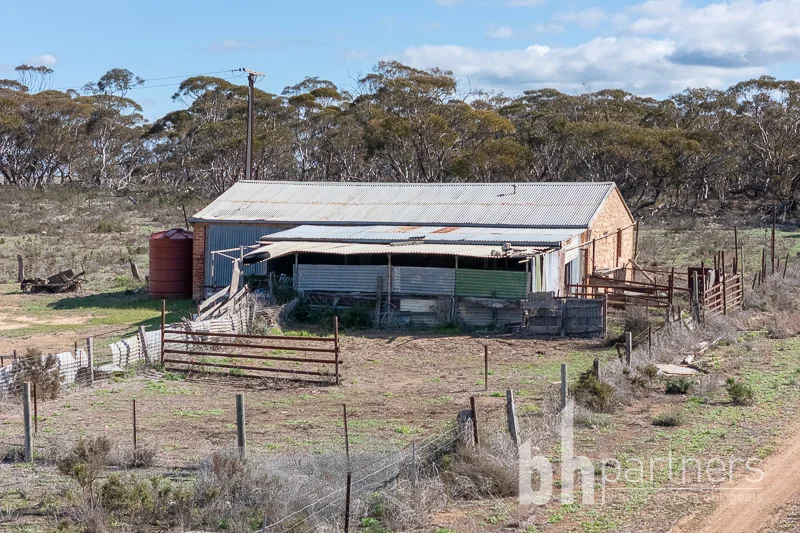 Additional image 20 of 89 Schroeder Road, Cambrai SA 5353