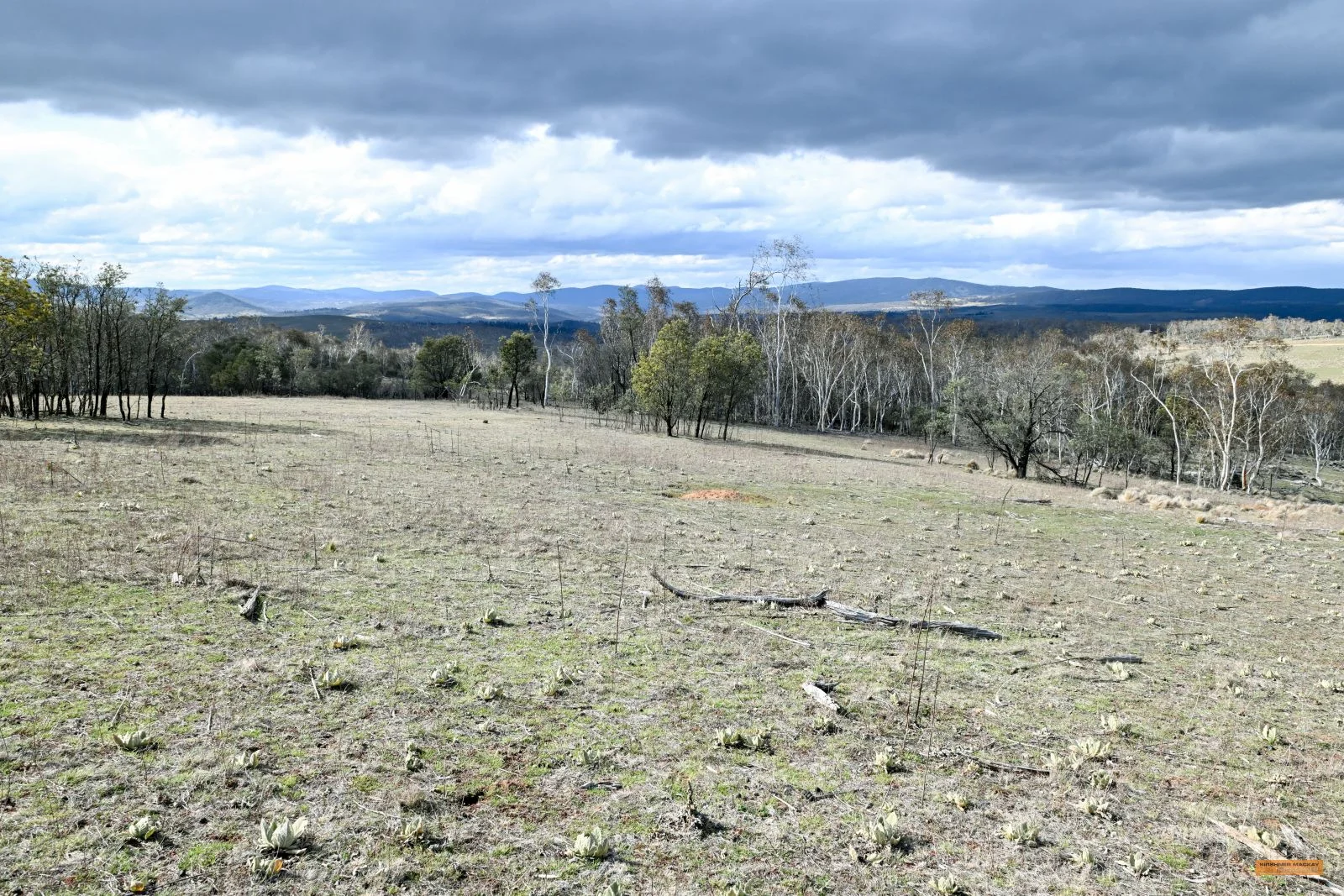 Additional image 39 of "Eagle Heights" 636 Caddigat Road, Dry Plain NSW 2630