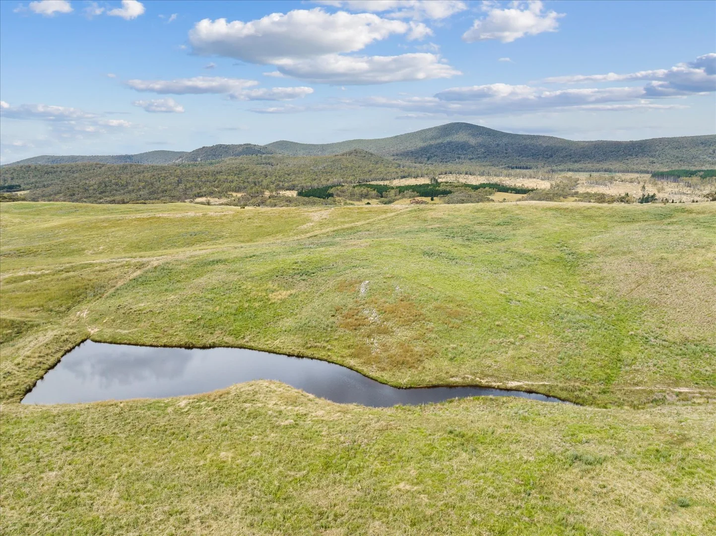 Additional image 7 of 4436 Jerangle Road, Captains Flat NSW 2623