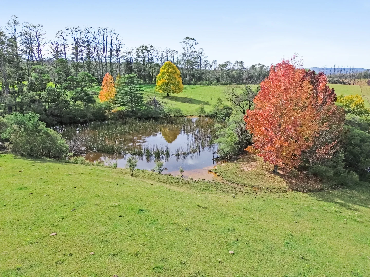 Additional image 18 of 92 Powells Road, Bilpin NSW 2758