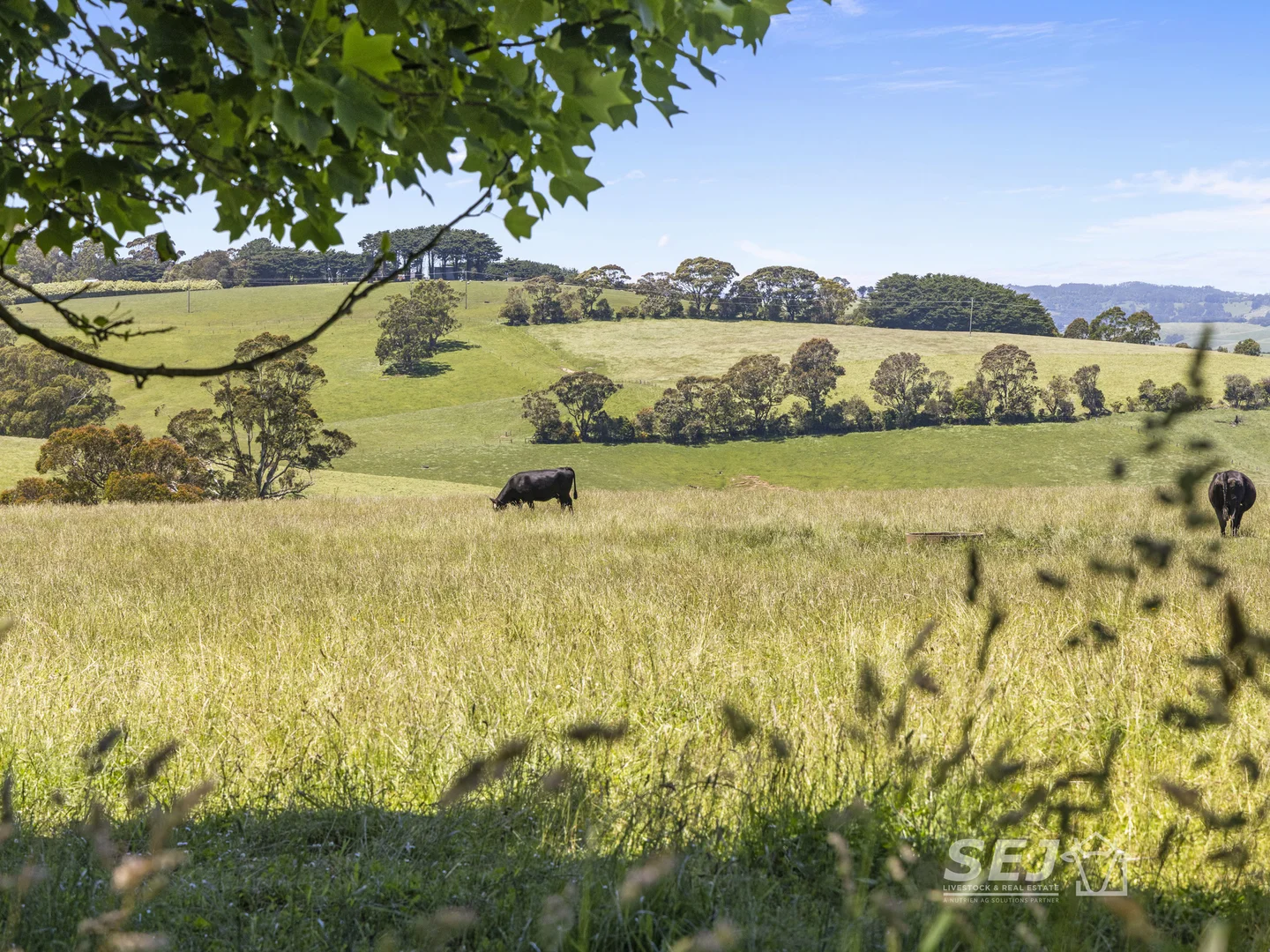 Additional image 26 of 155 Coulters Road, Mardan VIC 3953