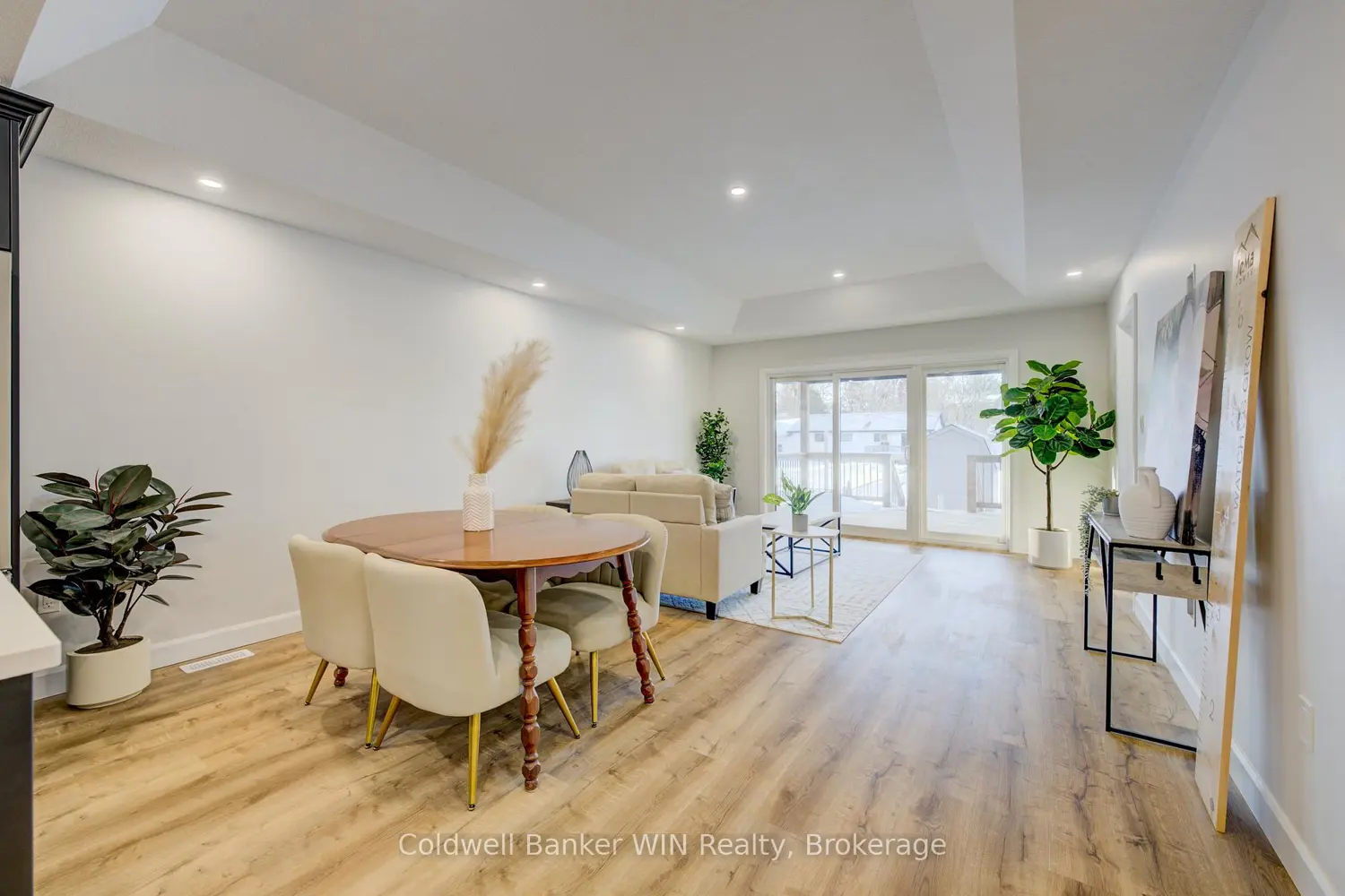 Additional image 8 of 217 Elgin Street