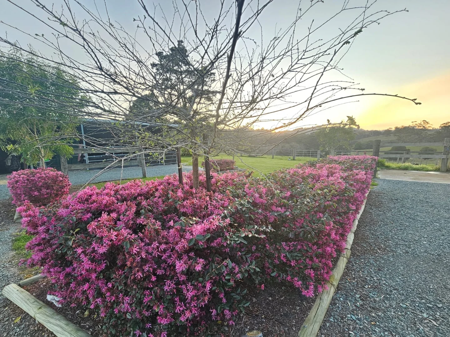 Additional image 9 of 148 Mimi Creek Road, Firefly NSW 2429