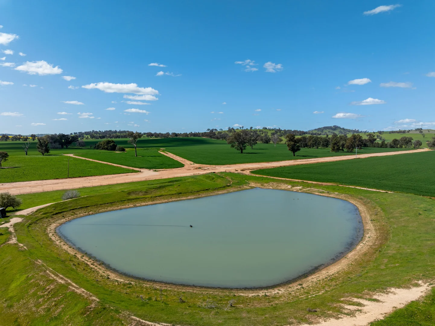 Additional image 17 of 484 Merri Meric Road, Henty NSW 2658