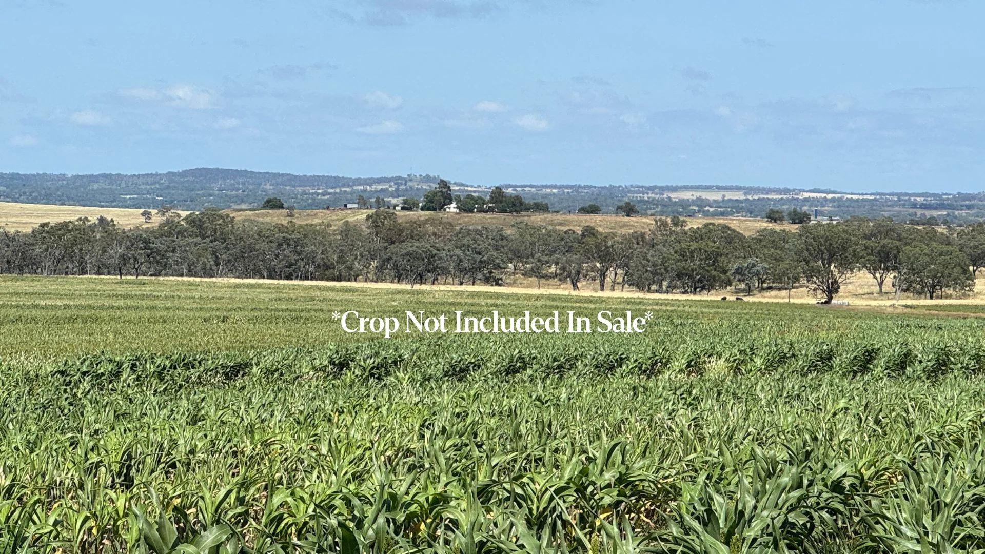 Additional image 2 of Lot 50 Rosenberger Road, Wyreema QLD 4352