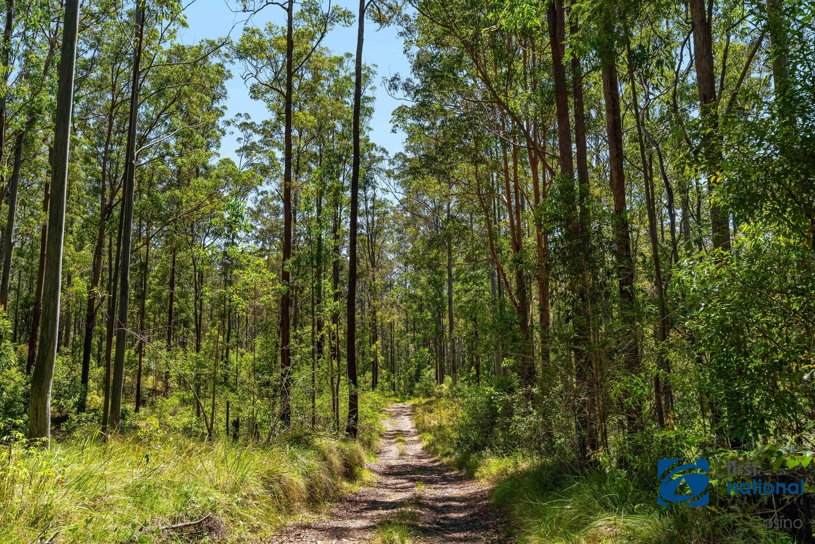 Additional image 15 of Lot 8 Long Gully Road, Drake NSW 2469