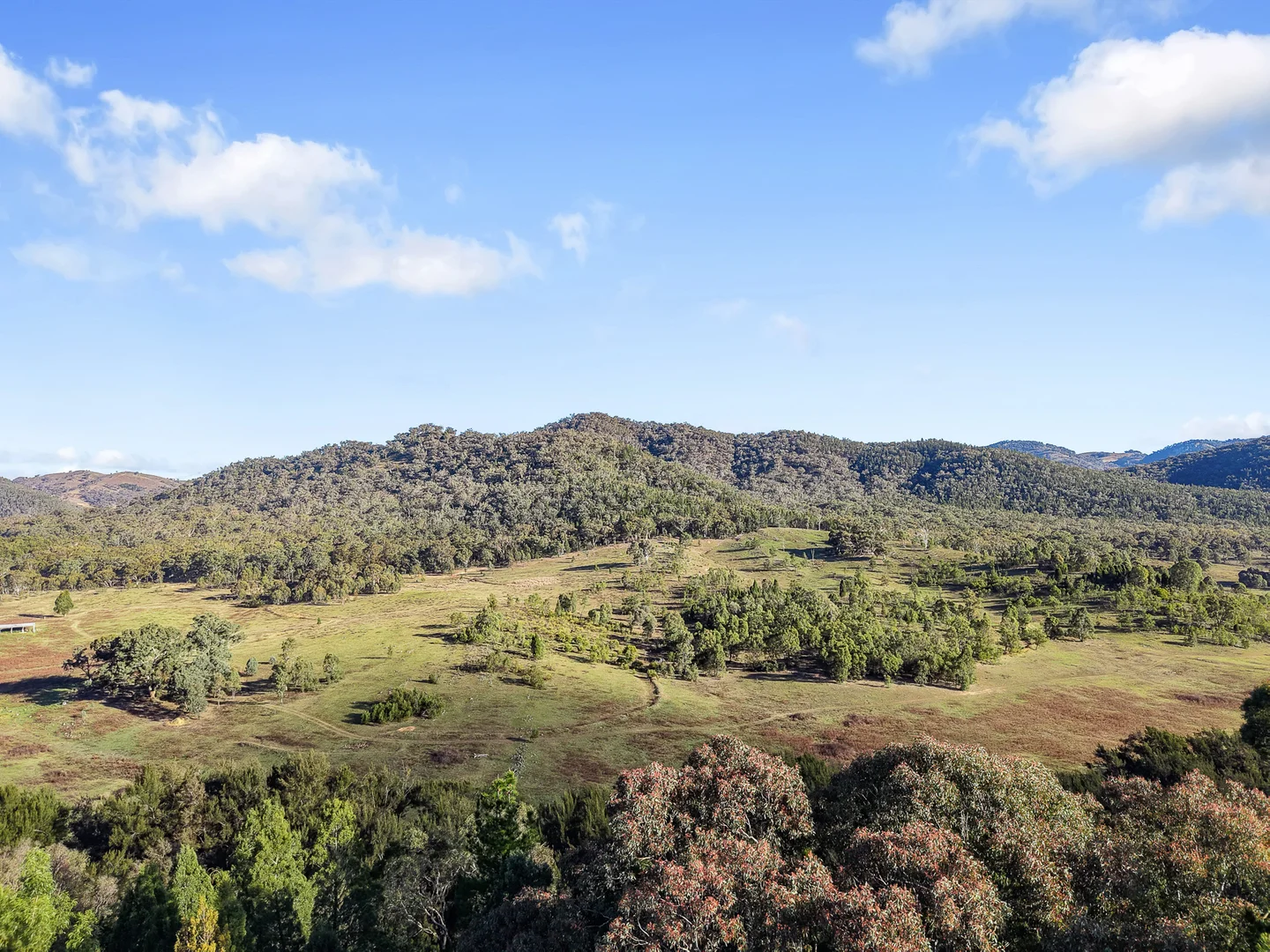 Additional image 36 of 442 Riverlea Road, Mudgee NSW 2850