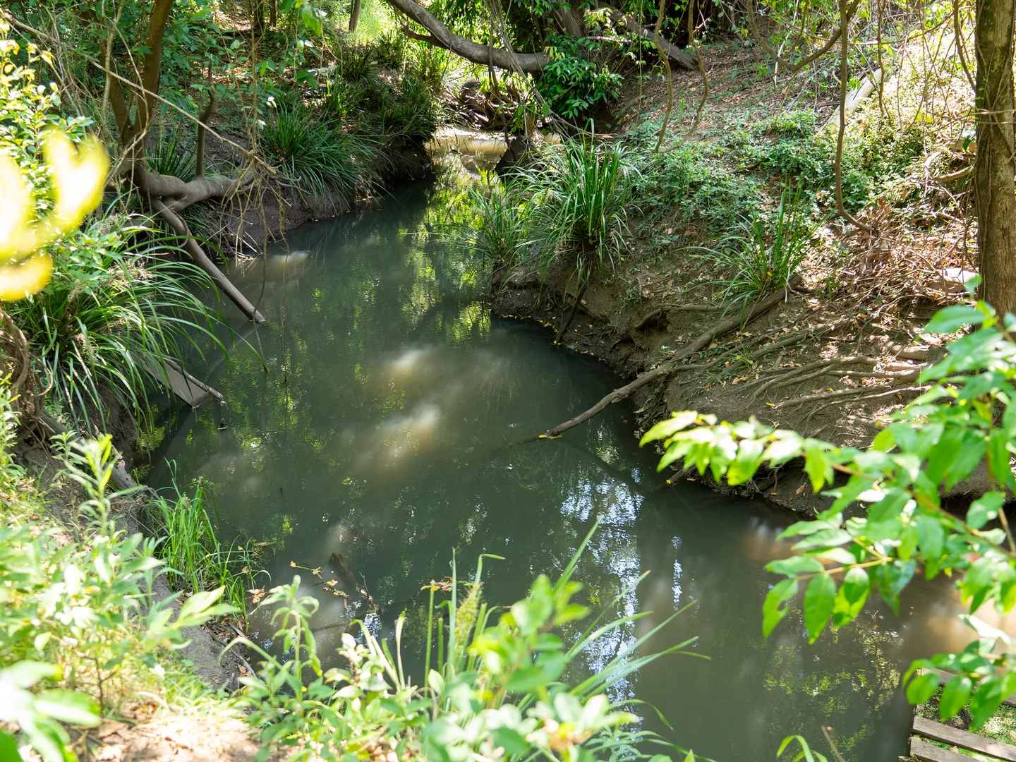 Additional image 9 of 279 Gundurimba Road, Monaltrie NSW 2480