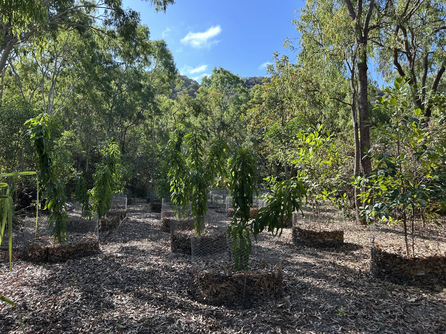 Additional image 28 of 28 Pollard St, Horseshoe Bay QLD 4819