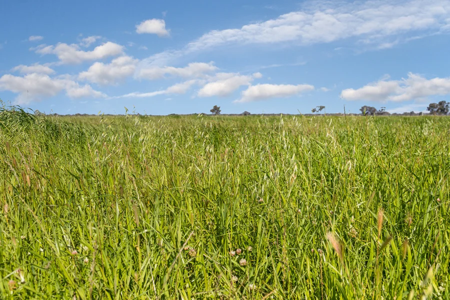 Additional image 22 of 37 Brownes Lane, Axedale VIC 3551