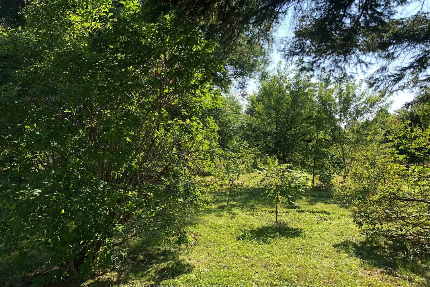 Additional image 10 of 313 Helen Avenue