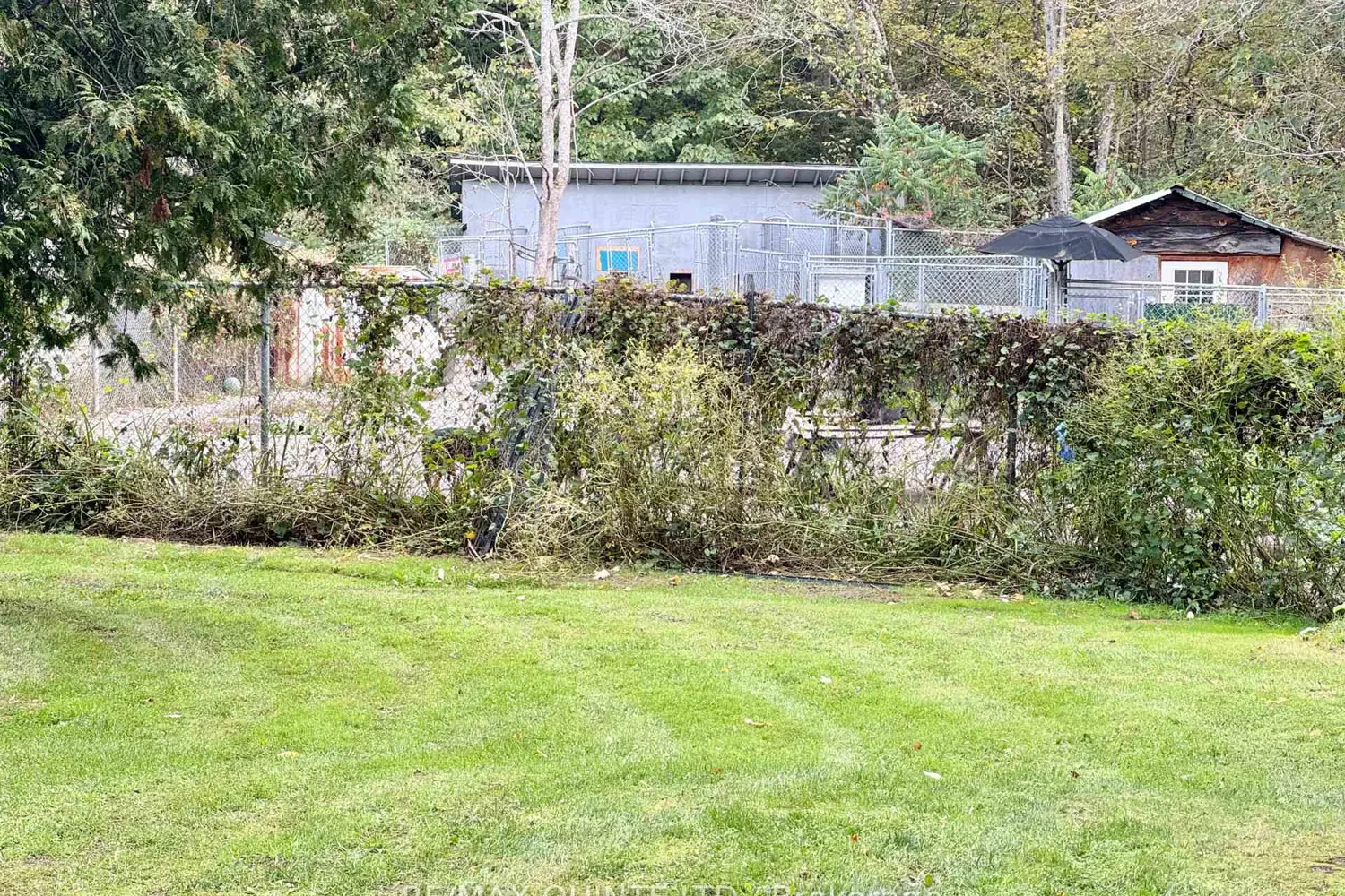 Additional image 4 of 109006 Hwy 7 Highway