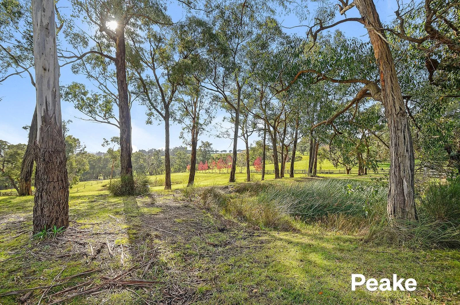 Additional image 3 of 78 Foott Road, Beaconsfield Upper VIC 3808