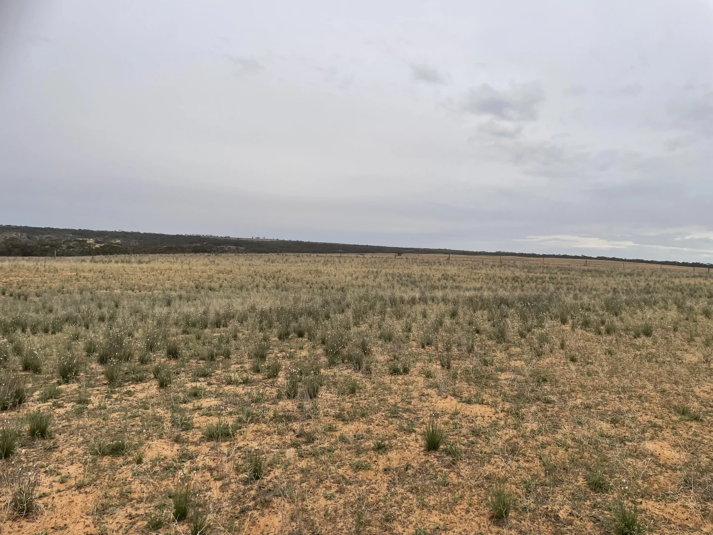 Additional image 6 of 2440 Black Hill Road, Black Hill SA 5353