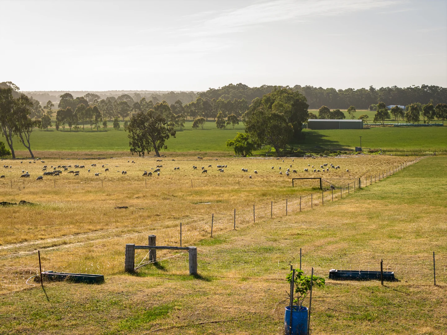 Additional image 30 of 89 Worgan Road, Metricup WA 6280