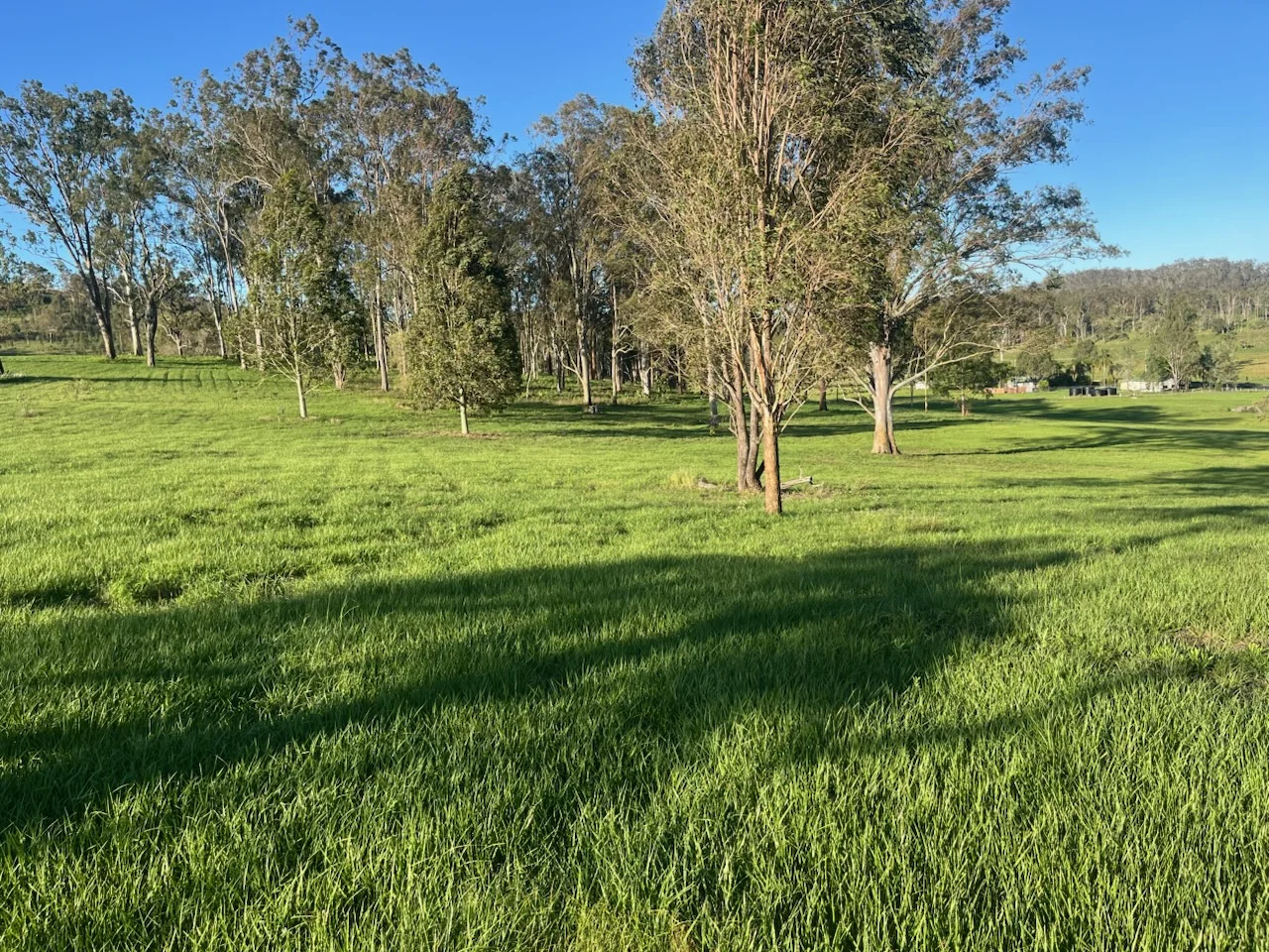 Additional image 23 of 10350 Mount Lindesay Highway, Rathdowney QLD 4287