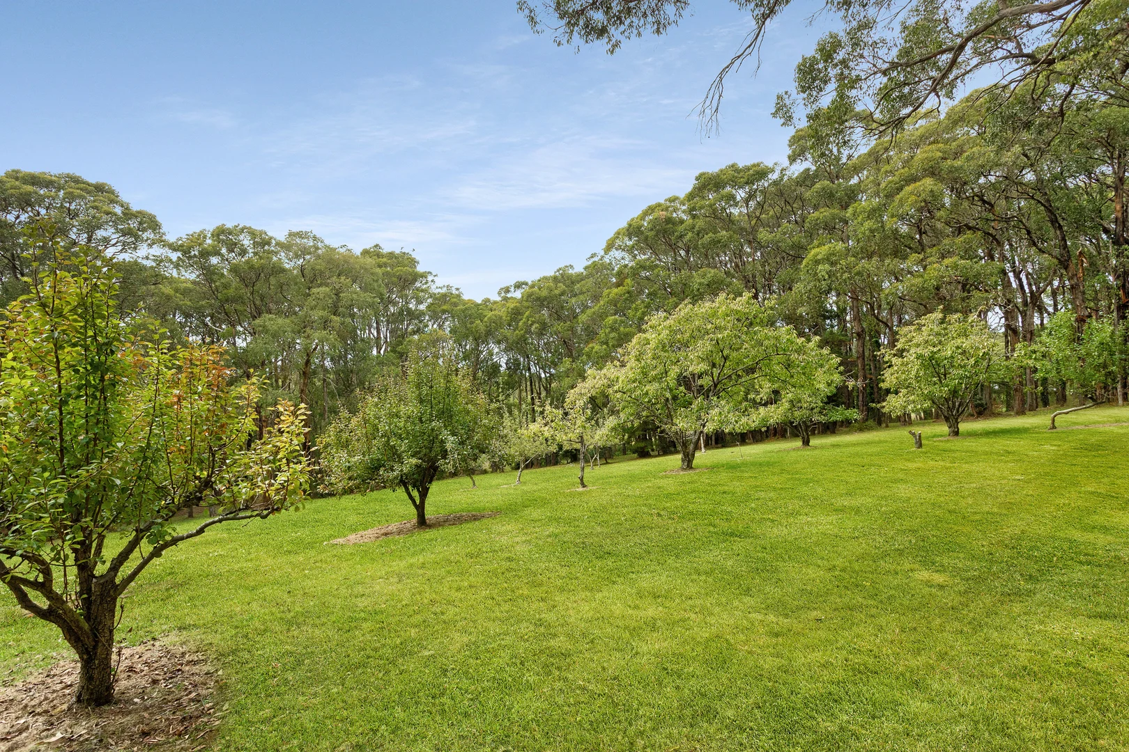 Additional image 13 of 209 Point Leo Road, Red Hill South VIC 3937