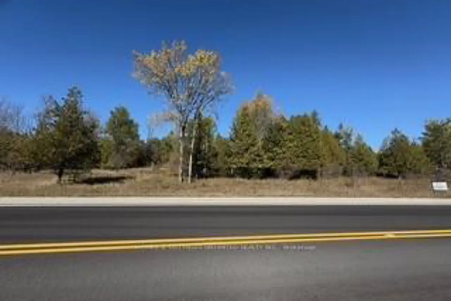 Additional image 14 of 5882 Mcdonalds Corners Road