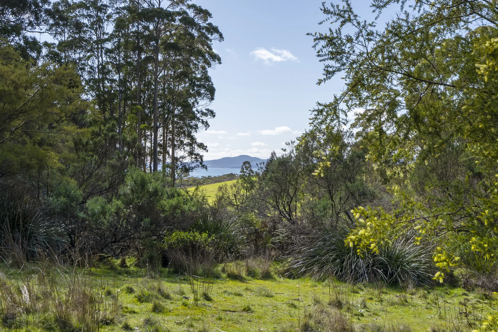 Additional image 9 of 129 Littles Road, Premaydena TAS 7185