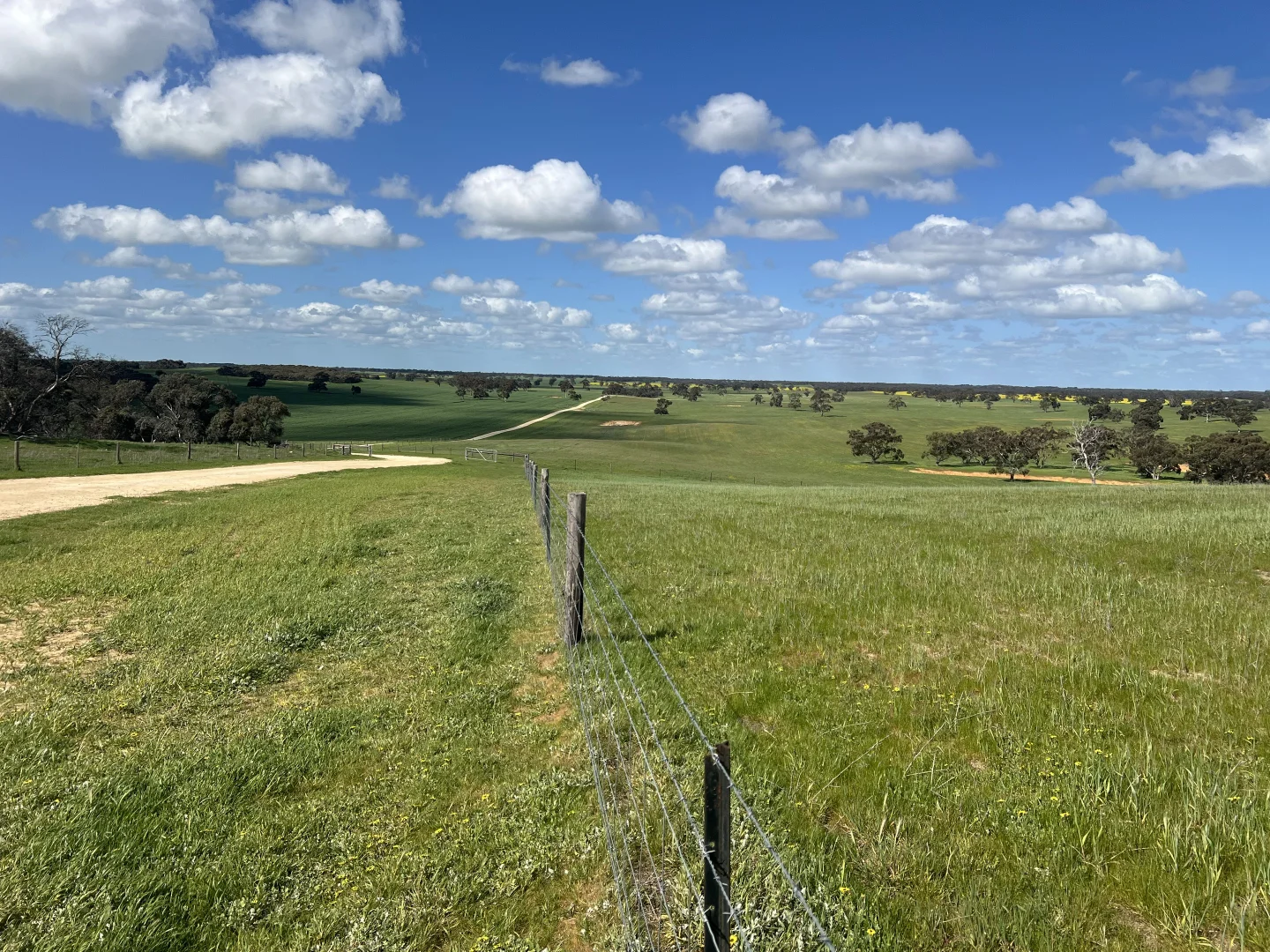 Additional image 18 of 559 Old Stone Tank Road, Mundulla SA 5270