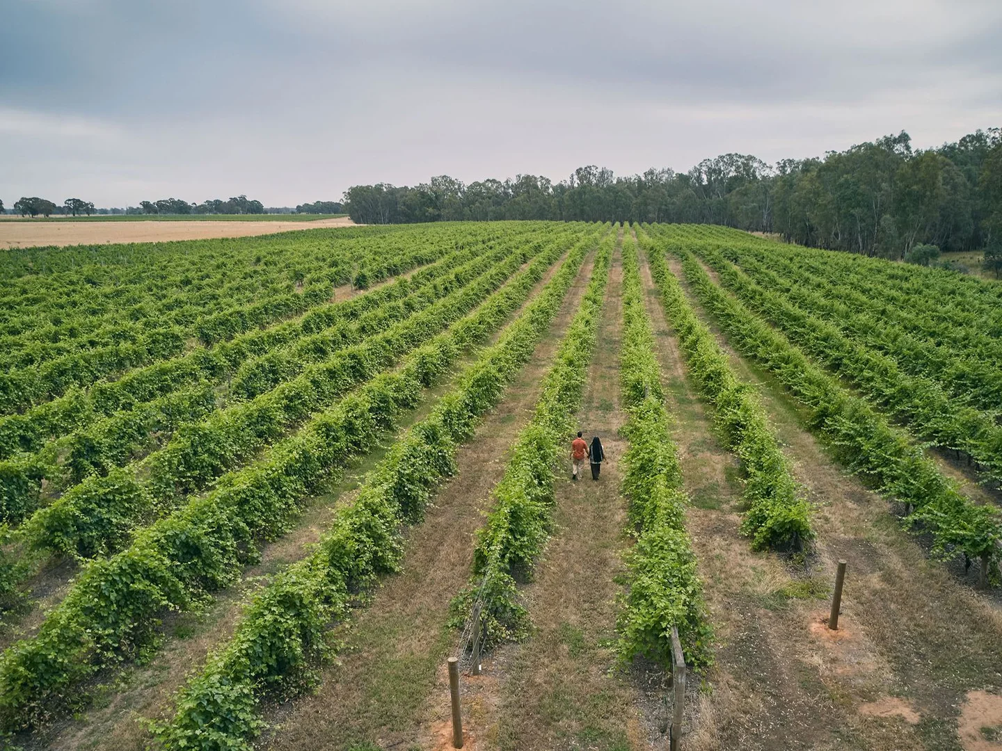 Additional image 14 of 4 Stressless Place, Bundalong VIC 3730