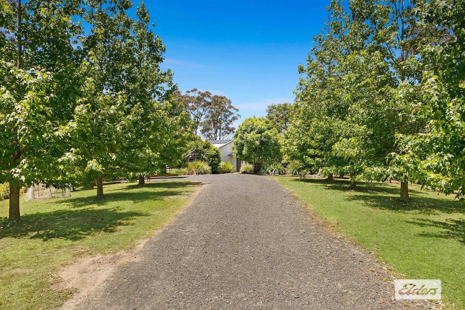 Additional image 17 of 114 Priests Ridge Road Road, Cedar Brush Creek NSW 2259