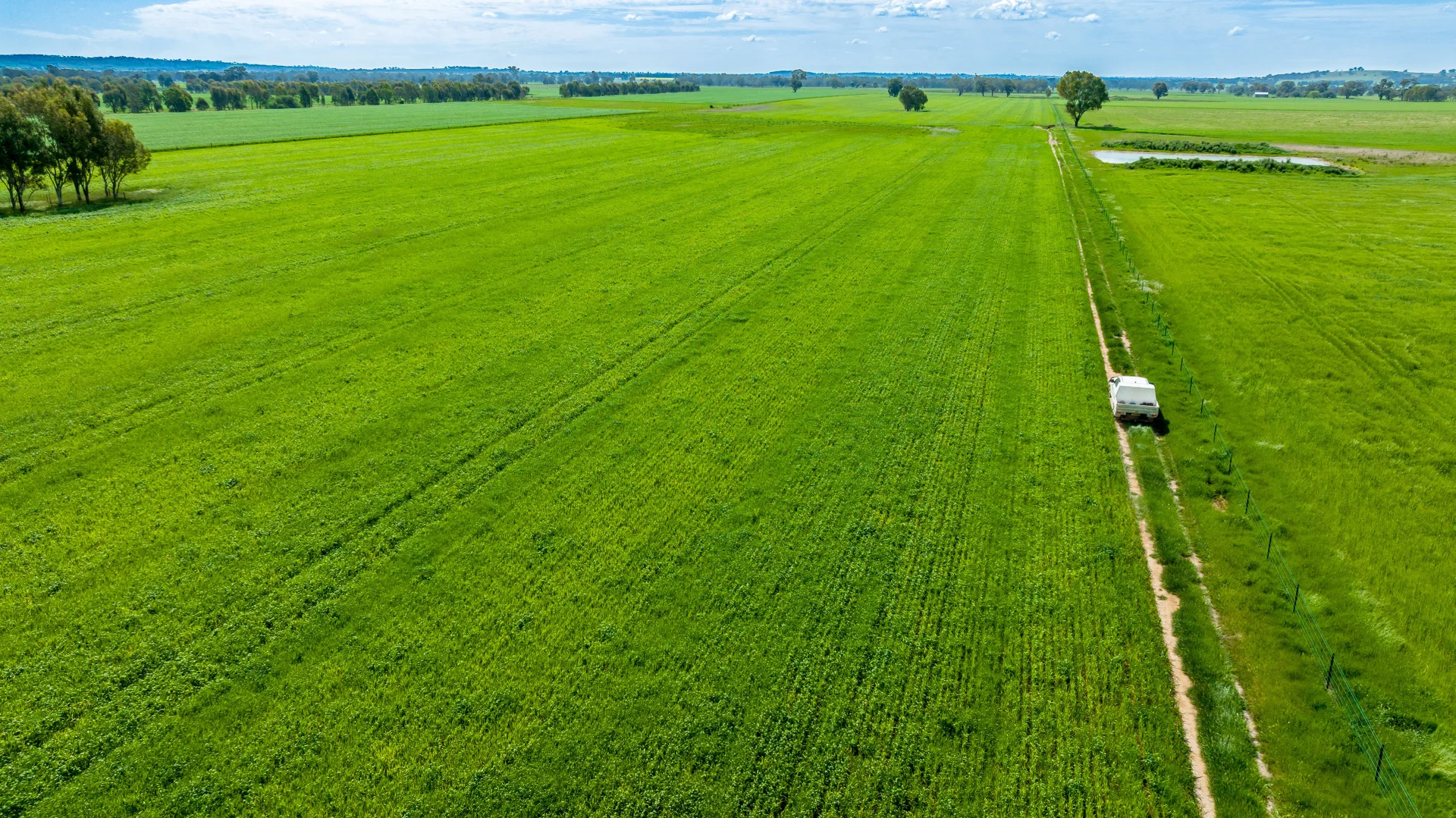 Additional image 3 of 'Arden Vale' Walbundrie Road, Walla Walla NSW 2659