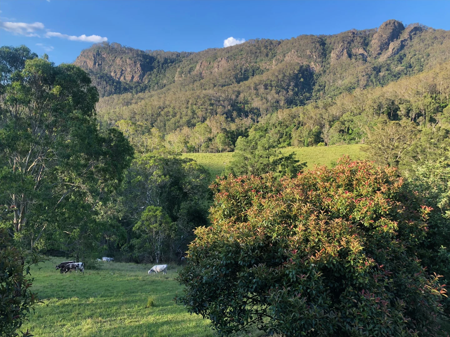 Additional image 23 of 1130 Curricabark Road, Gloucester NSW 2422